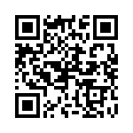 P6-38R-E QRCode