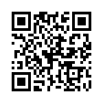 P6KE100CA-B QRCode