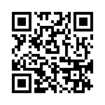 P6KE47CA-G QRCode