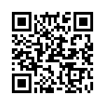 PK10X256VLQ100 QRCode