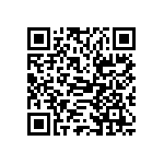 PT0402FR-7W0R333L QRCode