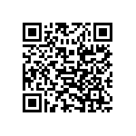 PT06SE-22-96P-101 QRCode