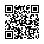 PT11 QRCode