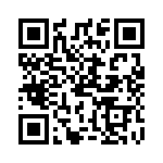 PV-4A10-T QRCode