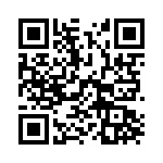 R46KN4100JPM1M QRCode