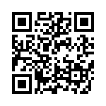 RCJ-61223344 QRCode