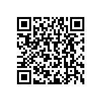 RDE5C2A2R0C0P1H03B QRCode