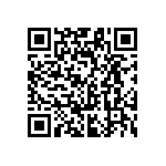 RG1608N-3832-B-T1 QRCode