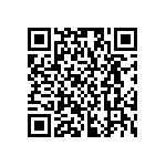 RG2012P-4533-B-T5 QRCode