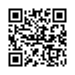 RGL41G-E3-96 QRCode