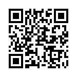 RJHSE538808 QRCode