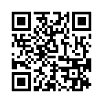 RJSNE538408 QRCode