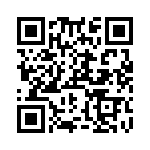 RN55C1691DRSL QRCode