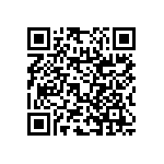 RNC55H13R0BSB14 QRCode