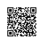 RNC55H1522BSBSL QRCode