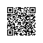 RNC55H1913FSR36 QRCode