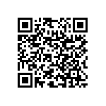 RNC55H2101BSRE6 QRCode