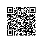 RNC55H3013BSRE6 QRCode