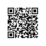 RNC55H3163BSRE6 QRCode