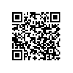 RNC55H4022FPBSL QRCode