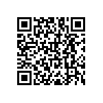 RNC55J1002BSRSL QRCode