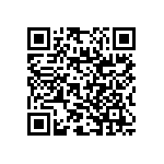 RNC55J1002DSRSL QRCode