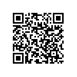 RNC55J1004FSRSL QRCode