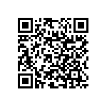 RNC55J1302BSRE6 QRCode