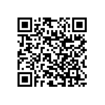 RNC55J16R2BSRSL QRCode