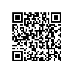 RNC55J17R6BRBSL QRCode