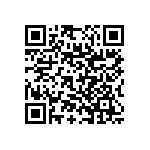 RNC55J2002BPBSL QRCode