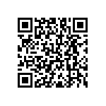 RNC55J2004FSRE6 QRCode