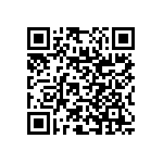 RNC55J2910BSRE6 QRCode