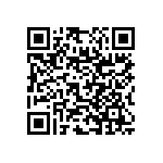 RNC55J3012BSB14 QRCode