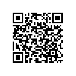 RNC55J3012BSR36 QRCode