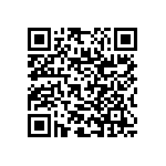 RNC55J3013BSRSL QRCode