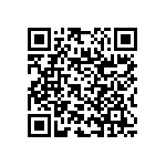 RNC55J3161BSBSL QRCode