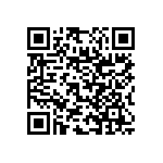 RNC55J3241BSB14 QRCode