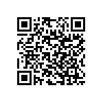 RNC55J4022FSBSL QRCode