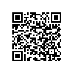 RNC55J4070BSBSL QRCode