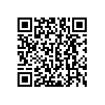 RNC55J4321DPBSL QRCode