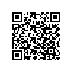 RNC55K1963FPRSL QRCode