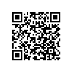 RNC60H1013BSRE6 QRCode