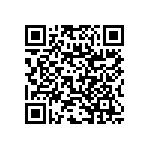 RNC60J1002DSB14 QRCode