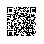 RNC60J1002FSRE6 QRCode