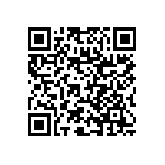 RNC60J1004BSRE6 QRCode