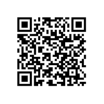 RNC60J3011BSRE6 QRCode