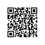 RNCF0402DTE300R QRCode