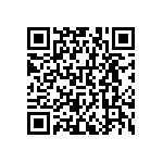 RNCF0603DKE42R2 QRCode