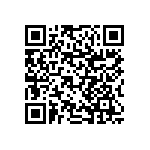 RNCF1206BTC30R9 QRCode